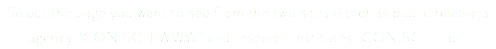 Select the page you want to see from the two sites either as public relations agency "CONISCH WWW" and research institutes "CONISCH Lab".